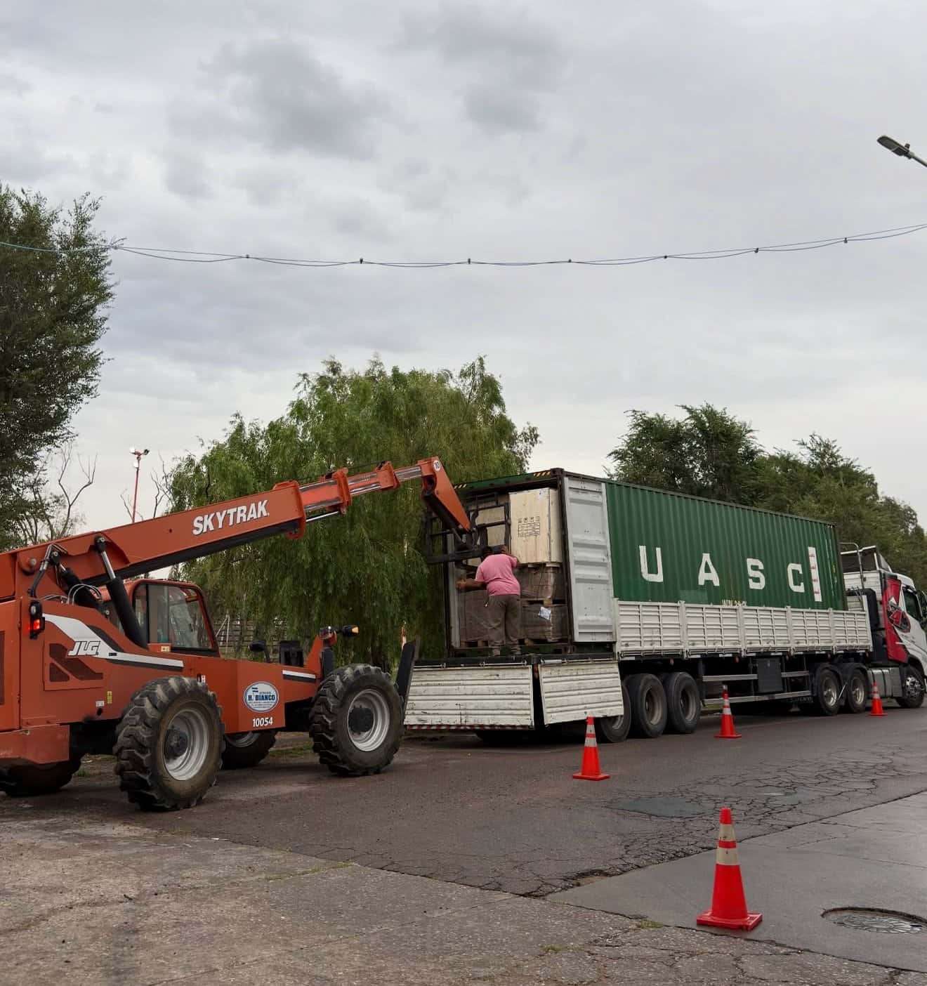 Equipamiento de gimnasio — importación comercial